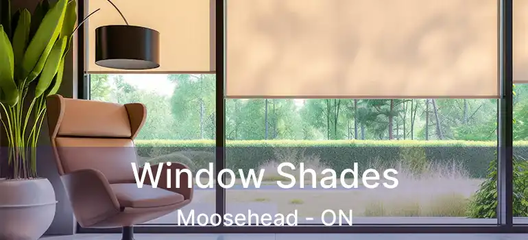  Window Shades Moosehead - ON