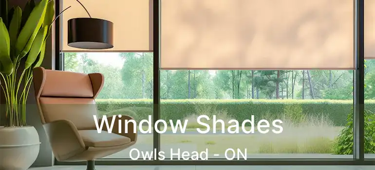  Window Shades Owls Head - ON