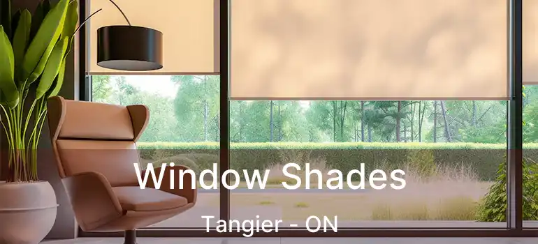  Window Shades Tangier - ON