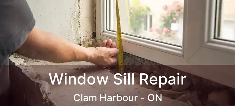  Window Sill Repair Clam Harbour - ON