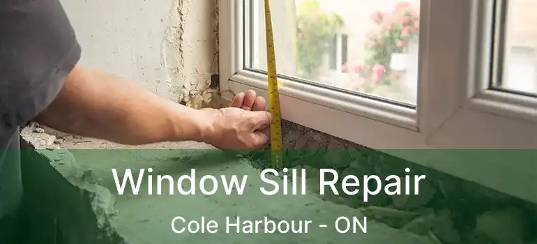  Window Sill Repair Cole Harbour - ON