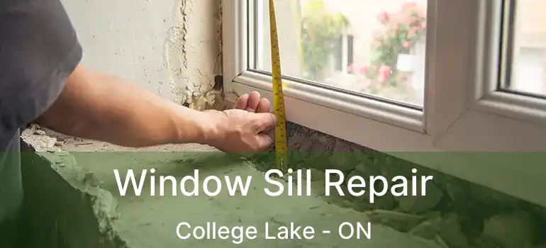  Window Sill Repair College Lake - ON