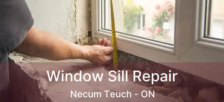  Window Sill Repair Necum Teuch - ON