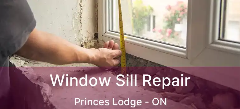  Window Sill Repair Princes Lodge - ON