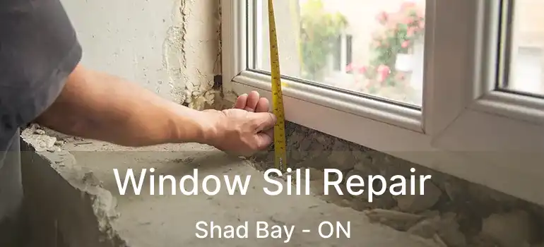  Window Sill Repair Shad Bay - ON