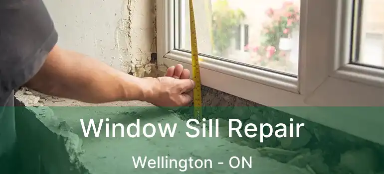  Window Sill Repair Wellington - ON