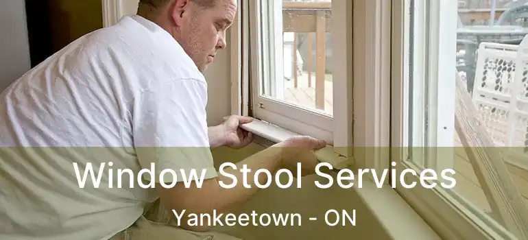  Window Stool Services Yankeetown - ON