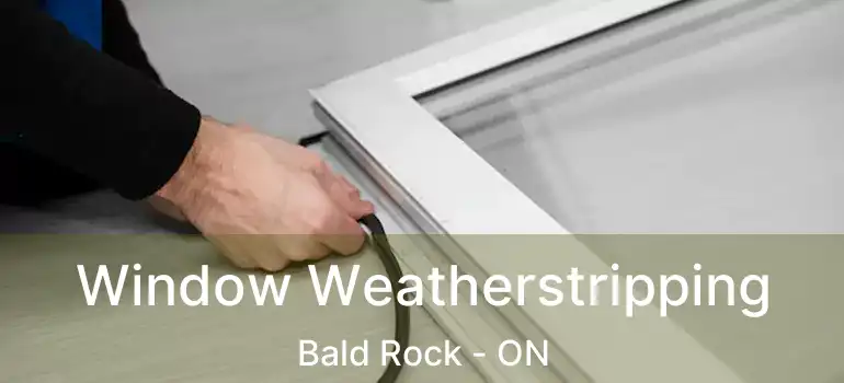  Window Weatherstripping Bald Rock - ON