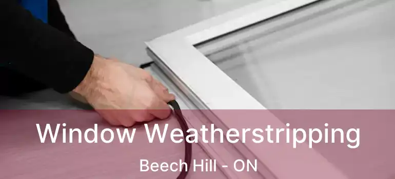  Window Weatherstripping Beech Hill - ON
