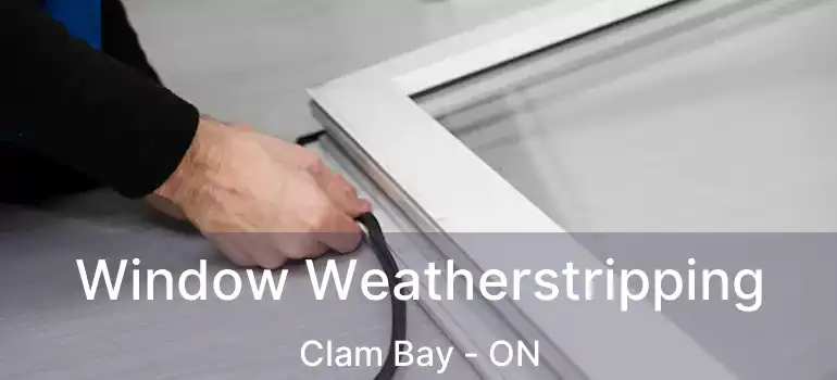  Window Weatherstripping Clam Bay - ON