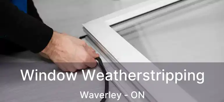 Window Weatherstripping Waverley - ON