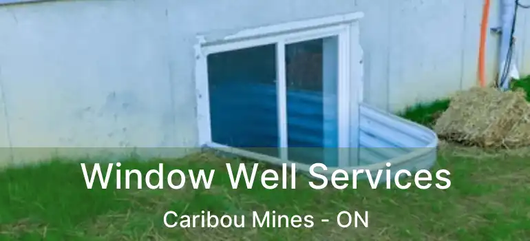  Window Well Services Caribou Mines - ON