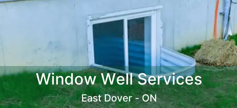  Window Well Services East Dover - ON