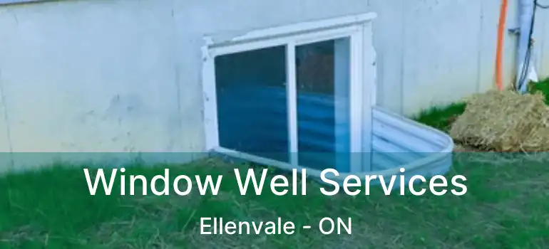  Window Well Services Ellenvale - ON