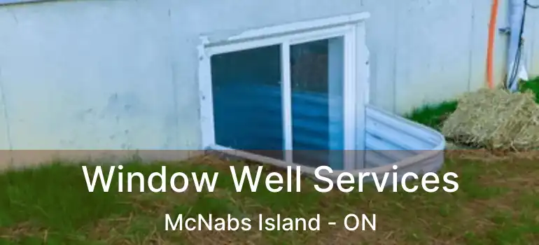  Window Well Services McNabs Island - ON