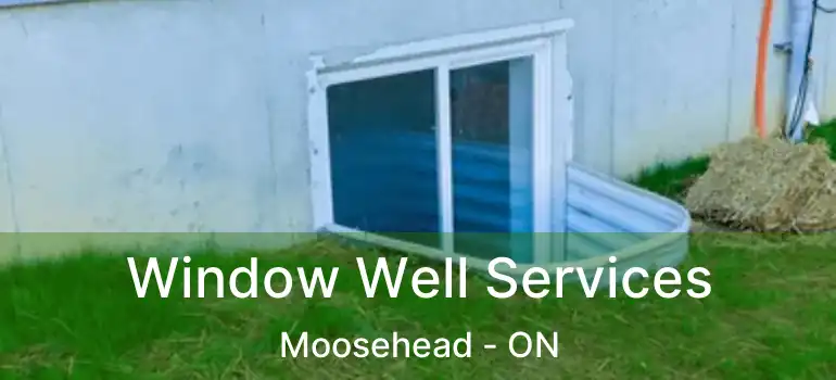  Window Well Services Moosehead - ON