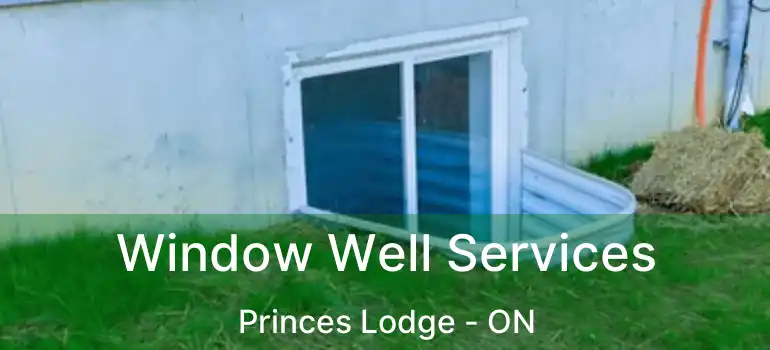  Window Well Services Princes Lodge - ON