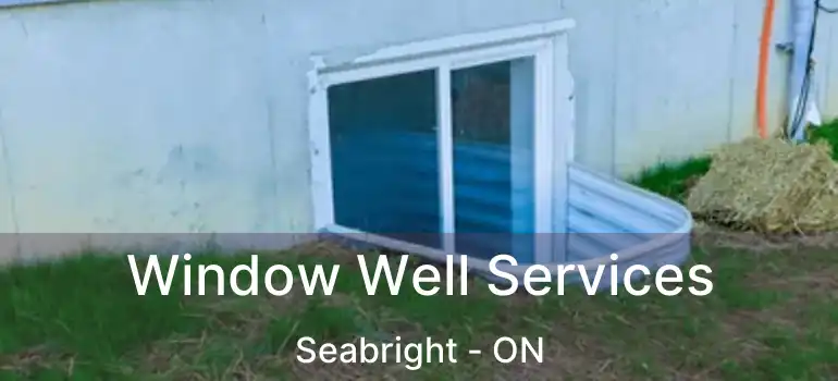 Window Well Services Seabright - ON