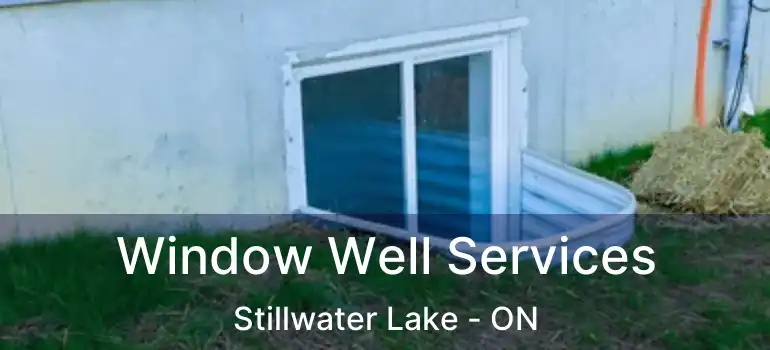  Window Well Services Stillwater Lake - ON