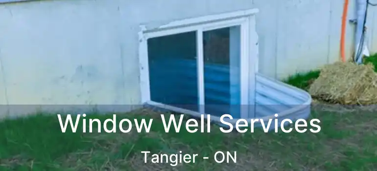  Window Well Services Tangier - ON