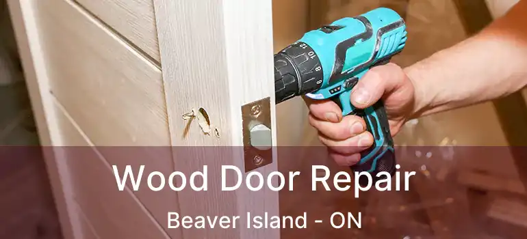  Wood Door Repair Beaver Island - ON