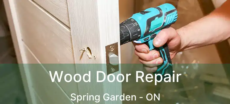  Wood Door Repair Spring Garden - ON