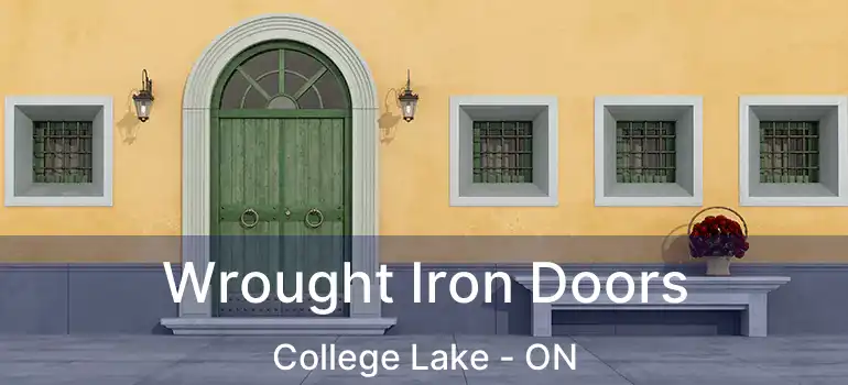  Wrought Iron Doors College Lake - ON