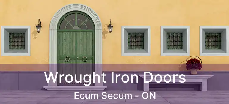  Wrought Iron Doors Ecum Secum - ON