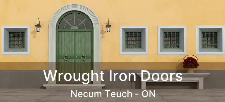  Wrought Iron Doors Necum Teuch - ON