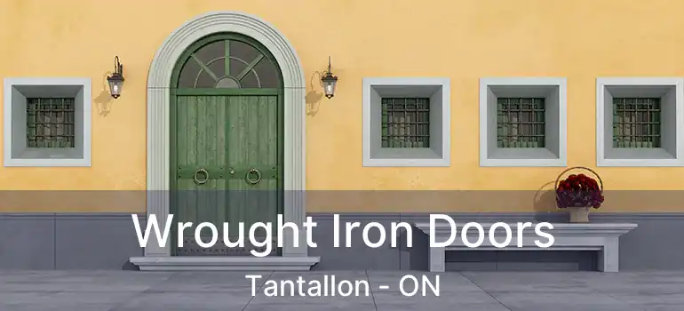  Wrought Iron Doors Tantallon - ON